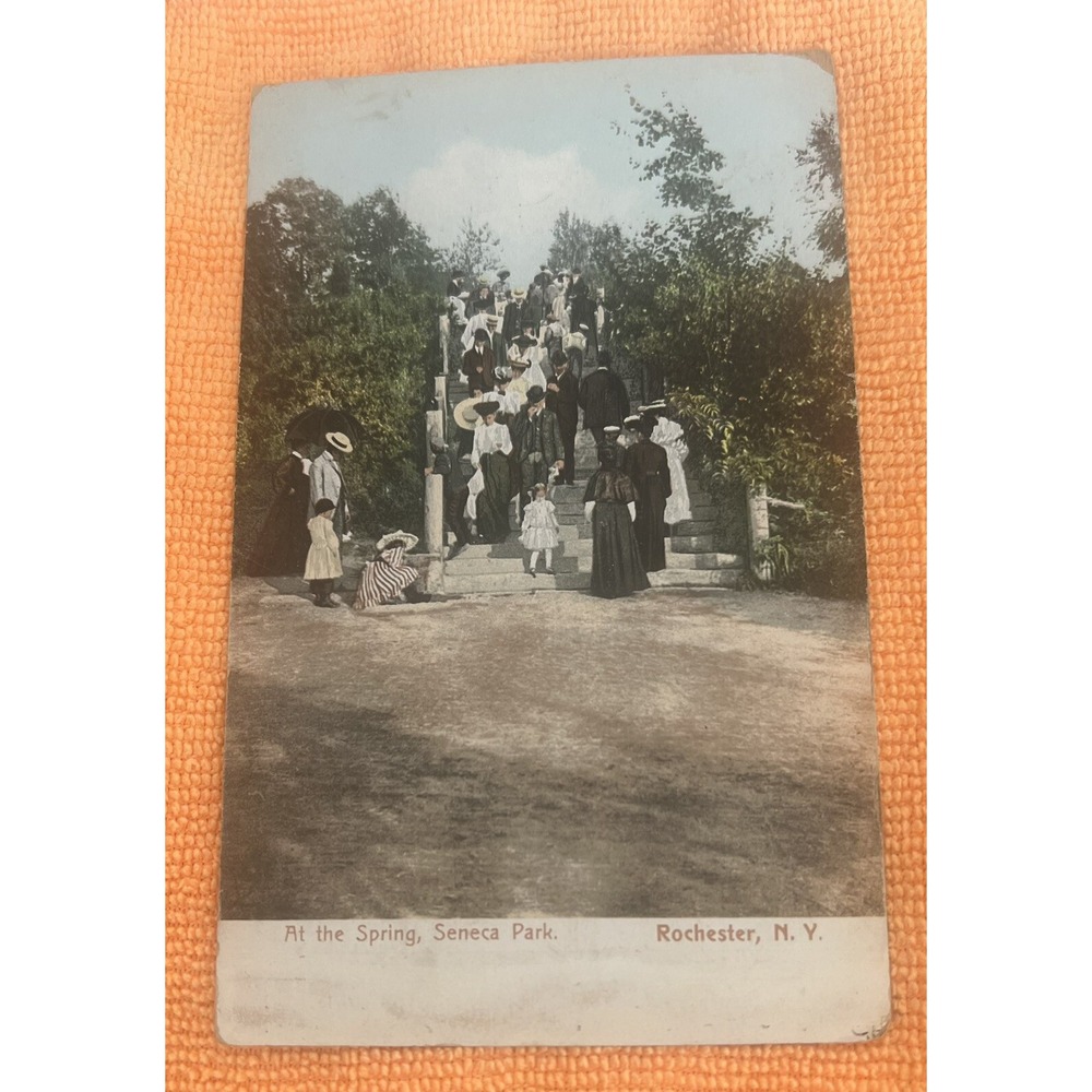 Postcard - At The Spring, Seneca Park Rochester NY Posted 1906
